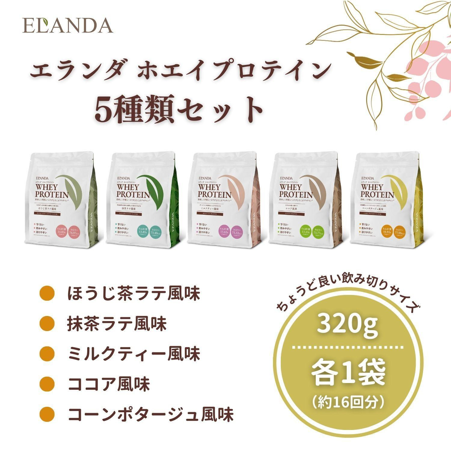 
            【3営業日以内発送】エランダ 甘くない ホエイ プロテイン 5種類セット 320g×各1袋【食品 健康食品 加工食品 人気 おすすめ 】
          