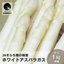 【ふるさと納税】JAそらち南の味覚「ホワイトアスパラガス」S～L　1kg前後