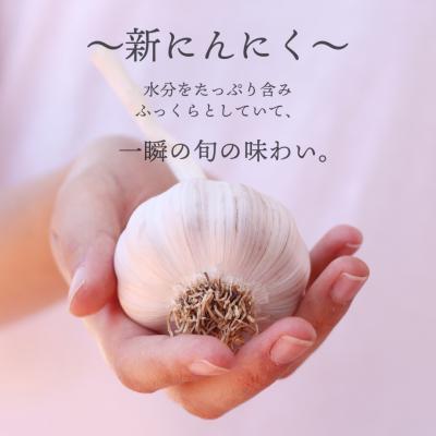 ふるさと納税 田野町 ★数量限定★ ≪ヤマシン≫ 初鰹のわら焼きタタキ2節　※新にんにく1玉付き※ |  | 03