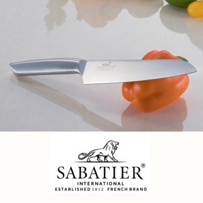ふるさと納税 関市 SABATIER オールステンレスキッチンナイフ2点セット　H15-18　 |  | 01