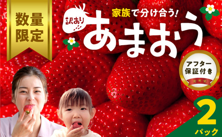 【数量限定】【訳あり】ファミリー向け あまおう約270g×2パック_あまおう 270g 2パック 国産 福岡県産 ブランドいちご アフター保証 食べ方いろいろ 甘い 果物 フルーツ ストロベリー 苺 エコファーマー認定農家 お取り寄せ スイーツ デザート 家庭用 福岡県 久留米市 送料無料 〔Fi068〕
