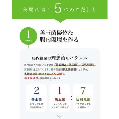 ふるさと納税 曽於市 美腸活青汁　30包入 |  | 02