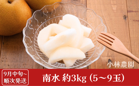 先行予約 和梨 南水 約3kg [9月中旬から発送予定] 令和7年度 新潟県産 梨 [小林農園] 【012S040】