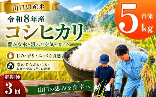 令和8年産 山口県産米 コシヒカリ 5kg 定期配送 3回 ｜ 令和8年産 コシヒカリ 山口県産米 こめ お米 コメ 白米 米 新米 ごはん 定期便 地元応援 瀬戸内 山口県 平生町 5kg