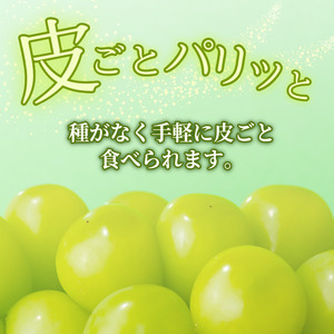 【6月中旬～8月中旬まで順次発送】シャインマスカット 1kg 2房 国産