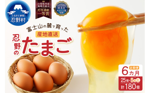 【6ヶ月定期便】富士山の麓で育った産地直送 ”忍野の卵”※卵25個+割れ保証5個　計180個