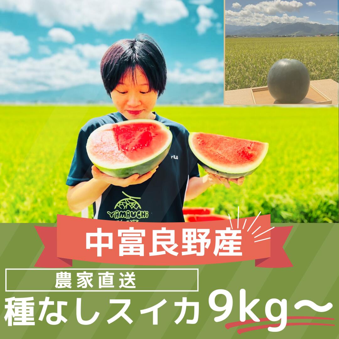 【ふるさと納税】【2026年発送】種なしスイカ　1玉　（9kg～）
