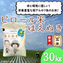 【ふるさと納税】【玄米】九代目又七のピロール農法米はえぬき30kg（令和6年産新米予約）