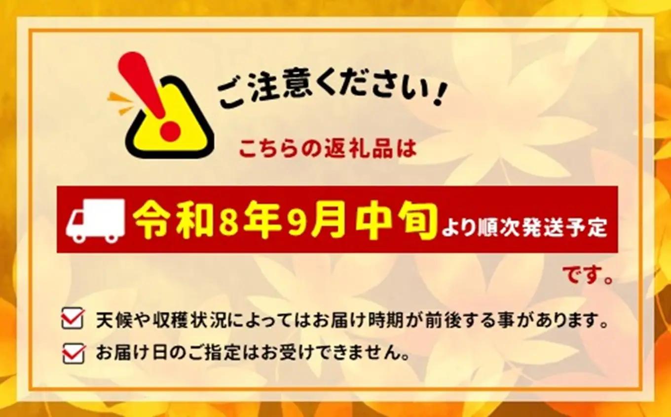 八ヶ岳西麓産 クイーンルージュ® 2房 (1kg以上)【2026年9月中旬～発送】