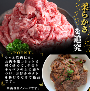 鹿児島県志布志市産横峯黒毛和牛の切り落とし肉(計500g・125g×4P) 鹿児島県産 国産 牛肉 牛 スライス 切り落とし 焼き肉 希少牛 小分け モモ ウデ バーベキュー BBQ すき焼き しゃぶ