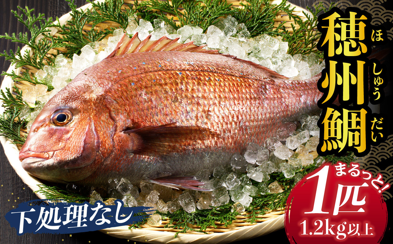 
            渡邊水産 穂州鯛（下処理なし）／ ブランド鯛 産地直送 まるごと 1尾 1匹 新鮮 鮮魚 真鯛 マダイ 鯛 タイ 鯛しゃぶ 鯛茶漬け 鯛めし 刺身 塩焼き 煮付け 魚 魚介 海鮮 養殖 国産 佐賀県 玄海町 冷蔵 送料無料
          