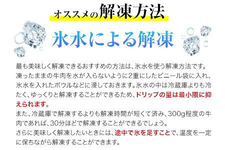 熊本県産和牛あか牛ロースステーキ500g《90日以内に出荷予定(土日祝除く)》熊本県 葦北郡 津奈木町 津奈木食品 あか牛 牛肉 牛 肉 すてーキ ロースステーキ