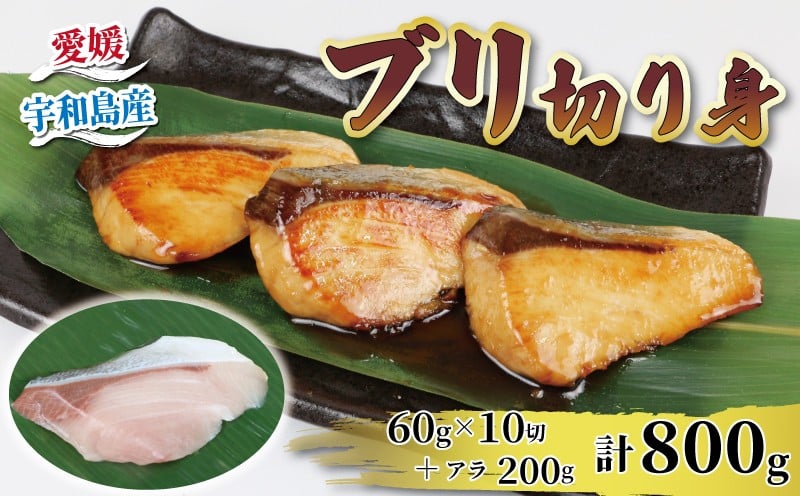 
            国産ブリ 鰤 ぶり 切り身 60g × 10切 アラ 200g 計 800g 河野鮮魚店 ブリ 切身 真空パック 新鮮 魚介 海鮮 海産物 鮮魚 魚 カット 済み おすすめ 簡単 調理 照焼 照り焼き ぶり大根 鰤大根 急速冷凍 冷凍 数量限定 産地直送 国産 愛媛 宇和島 D010-177007
          