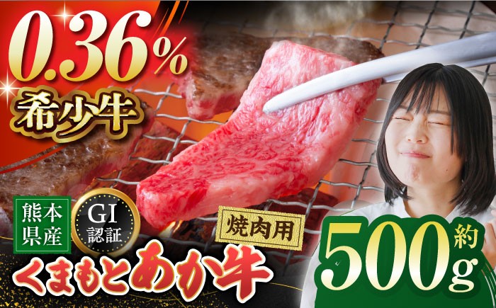 
            GI認証 くまもとあか牛 焼肉用 約500ｇ【山鹿市（桜屋）】 [ZBO055]
          