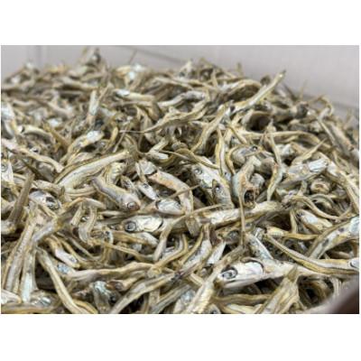 ふるさと納税 伊予市 伊予煮干 いりこ 2kg 【2026年10月以降発送】 伊予灘産 瀬戸内海 |  | 01