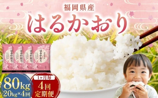 【1ヶ月毎4回定期便】 はるかおり 20kg 計80kg ／ 米 コメ お米 ライス ご飯 ごはん 飯 食品 精米 定期便 常温 福岡県 香春町