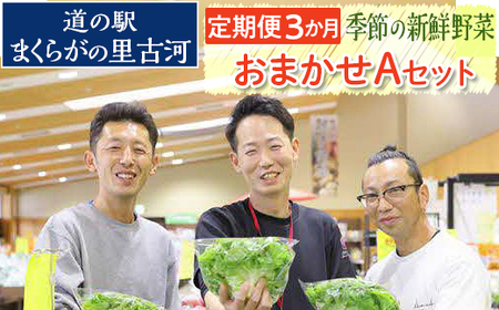 【定期便3か月】道の駅まくらがの里古河　季節の新鮮野菜おまかせAセット ※北海道・沖縄・離島への配送不可 _BQ05