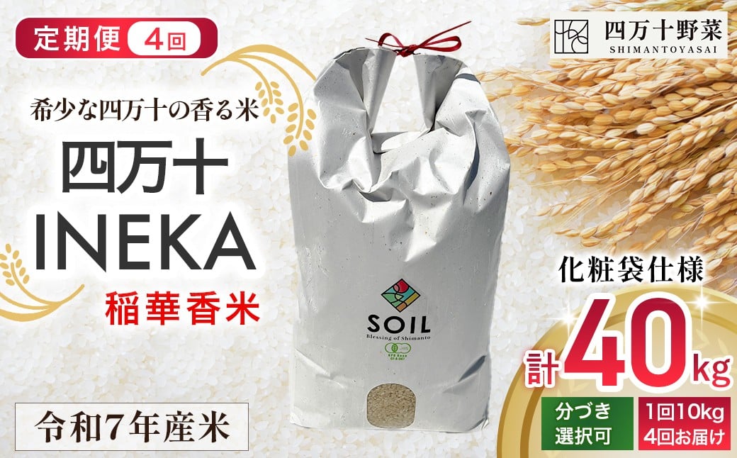 
            【新米予約】【有機玄米】希少な四万十の香る米 定期便4回（4か月） 10kg袋  四万十INEKA（稲華香米）化粧袋仕様 ／Fsg-03 小分け 便利 ブランド米 お米 米 香米 香る米 玄米 令和7年度産米 高知県 四万十町
          