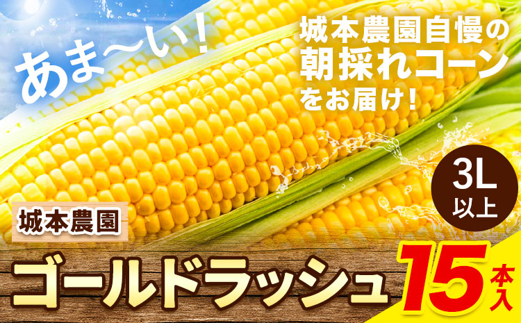 《先行受付開始》産地直送 朝採れスイートコーン(ゴールドラッシュ)15本セット 特大 熊本 阿蘇 産山村 冷蔵 高糖度 夏野菜 トウモロコシ ギフト 今が旬 コーン 旬 お取り寄せ 人気 大人気 贈答 とうきび 送料無料《2025年7月中旬-8月下旬出荷》
