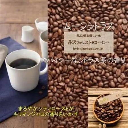 丹沢フォレスト甘味焙煎珈琲豆 5種_飲料・ドリンク コーヒー豆 コーヒー・コーヒー豆 珈琲 珈琲豆_【1550950】