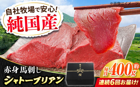 【全6回定期便】『純国産』熊本の味 赤身 馬刺し シャトーブリアン 計約400g（約200g×2パック）チルド 冷蔵 ブロック【有限会社 九州食肉産業】[AYCN066]