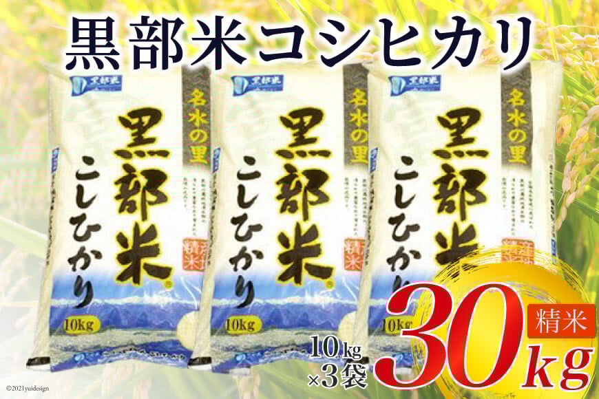 
                  [№5313-0032]【令和7年産】 黒部米 コシヒカリ 10kg×3袋 計30kg 精米
                