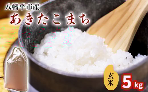 【令和7年産】 あきたこまち 玄米 5kg ／ 中沢農産 こめ 米 コメ お米 おこめ ご飯 御飯 ごはん ライス げんまい げん米 おにぎり お弁当 仕送り お取り寄せ 取寄せ 産地直送 農家直送 単一原料米 国産 国産米 東北 岩手県産 八幡平市産 数量限定 おすすめ オススメ おいしい 美味しい