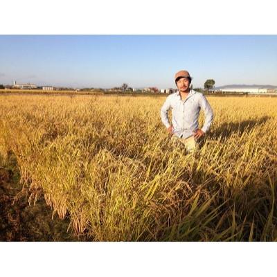 ふるさと納税 平群町 酵素玄米ご飯8個パック(長岡式) |  | 03