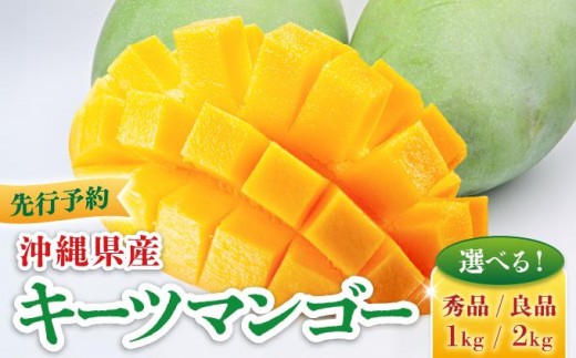 
                  【先行予約・数量限定】＜選べる等級・容量＞キーツマンゴー 1kg～2kg KM007-010   I  キーツマンゴー きーつまんごー マンゴー まんごー フルーツ 贈答用 1kg 2kg   沖縄県 南城市 ふるさと納税 光陽マンゴー園
                