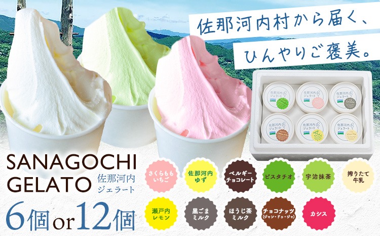 ジェラート アイス スイーツ SANAGOCHI GELATO 6個 または 12個 株式会社クリスティーヌ 《30日以内に出荷(土日祝除く)》 徳島県 佐那河内村 お菓子 ご褒美 プレゼント いちご チョコ ピスタチオ ミルク 【配送不可地域あり】(離島)---sanagouchi_kst_1_6k---