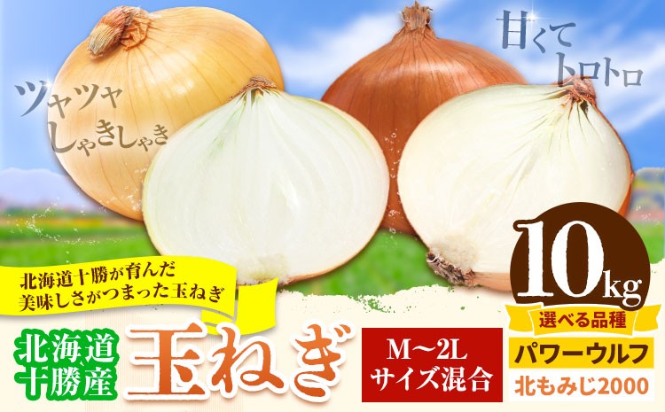 
                  玉ねぎ 10kg 選べる品種 パワーウルフ 北もみじ2000 山下農場《2026年9月中旬-10月末出荷》 北海道 本別町 たまねぎ タマネギ 万能 北海道産
                