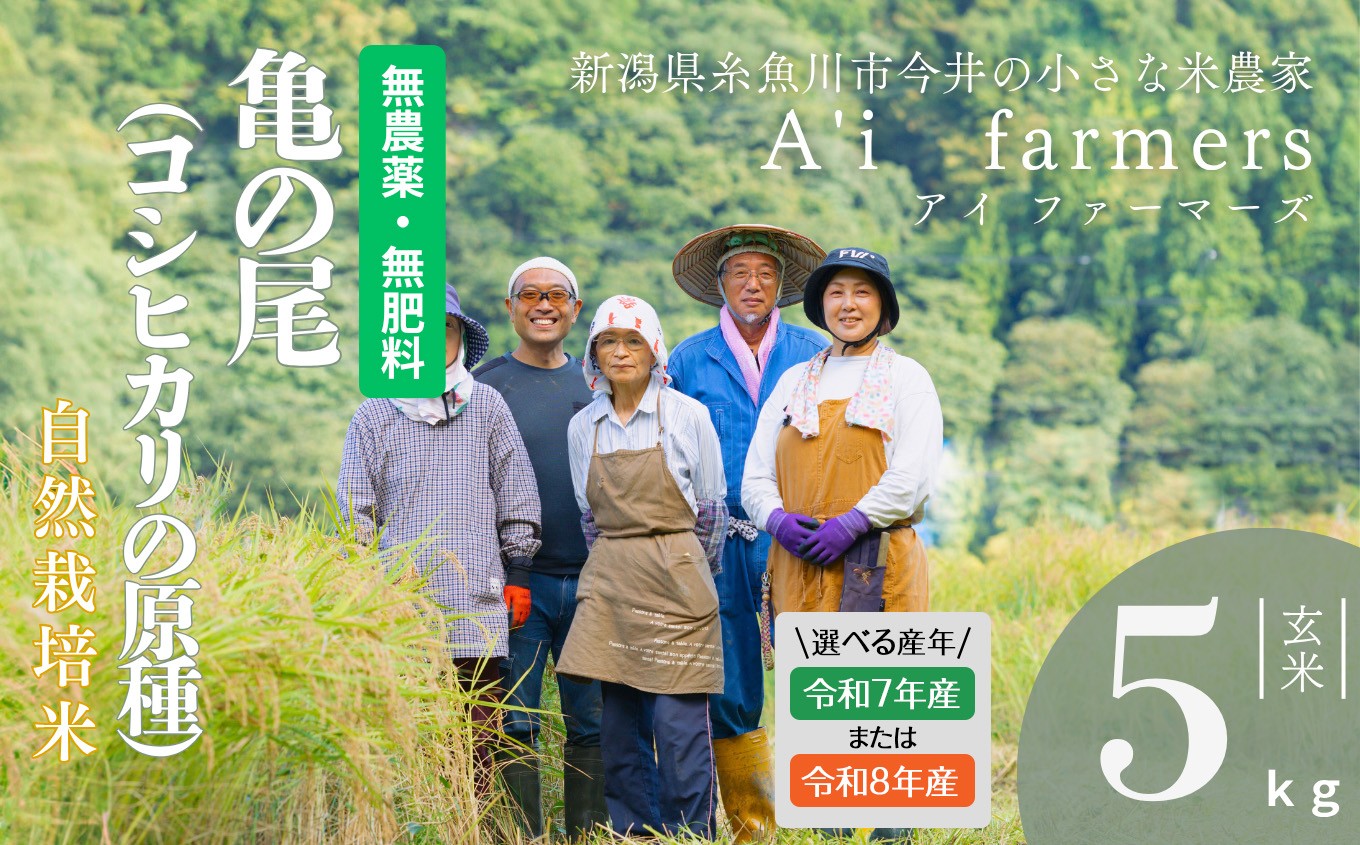 
                  【R7年産 / R8年産】 選べる 自然栽培米 『 亀の尾 』  希少種  玄米 5kg 新潟県 糸魚川市産 無農薬 無化学肥料米 安心 安全 美味しいお米 新潟米 今井産 アイファーマーズ 今摺り米【こしひかり おにぎり お弁当 におすすめ お米 おこめ コメ ご飯 ライス ふるさと納税米 ブランド米 5キロ】
                