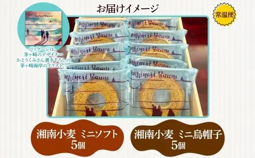 ミニサイズ バウムクーヘン なみのりバウム 10個セット 食べきりサイズ まんまるソフト デコボコ烏帽子 湘南小麦 しっとり ふんわり お菓子 洋菓子 スイーツ 詰め合わせ ギフト 神奈川県 茅ヶ崎市