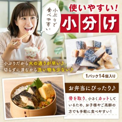 ふるさと納税 京丹後市 【訳あり】魚屋の味付け骨取り塩サバお手軽112切れ |  | 03