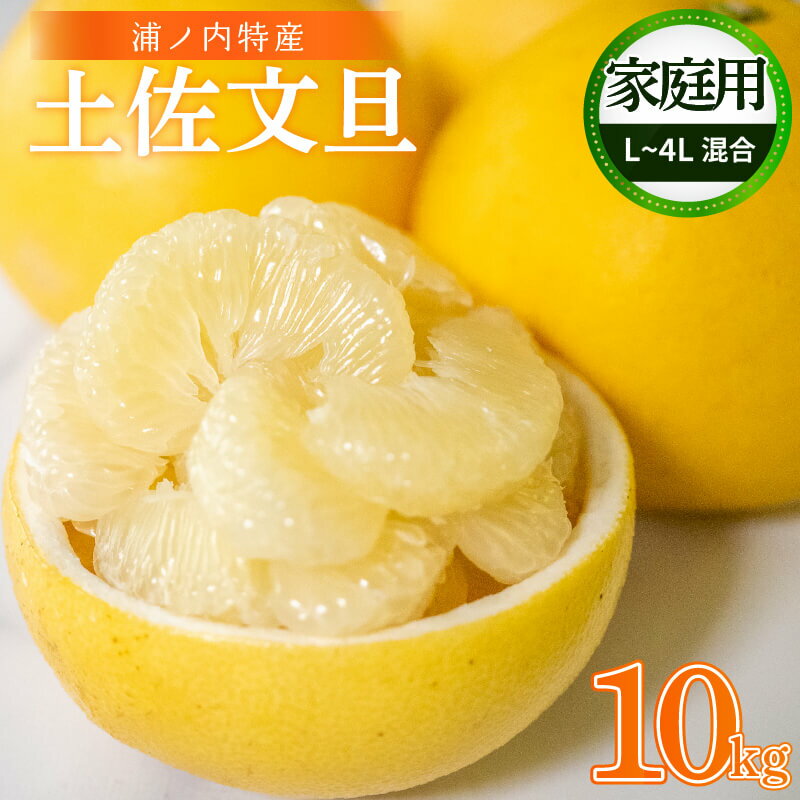 【早期予約開始!!2026年2月頃より順次発送】【ふるさと納税】 【訳あり】 浦ノ内特産 家庭用 土佐文旦 10kg | みかん 蜜柑 柑橘 文旦 10キロ 明神果樹園 人気 ランキング 数量限定 期間限定 高知県 須崎市 ふるさと納税果物 MKJ003_xx