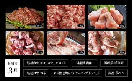 定期便 肉屋大石 ベーシック 定期便