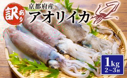 【京都府産 アオリイカ】約1kg 2～3杯（訳あり イカ いか 国産 烏賊 冷凍 海鮮 地物 イカ刺身 さしみ 刺身 刺し身 刺身用 天ぷら 煮付け 塩焼き イカ丼 焼きイカ イカリング イカフライ イカ天 いかめし イカめし おつまみ 魚介類 魚介 魚 和食 1万円 一万円 10000円 1万 あおりいか わけあり 訳アリ 舞鶴 京都）