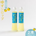 【ふるさと納税】ゆずシロップ（200ml×2本）