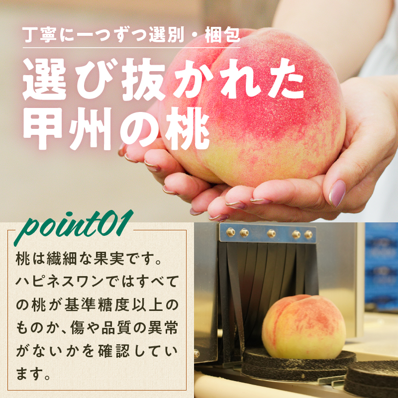 旬の朝採れ特選大玉もも 1.5kg以上（4～5玉）【2025年発送】（HO）B-414