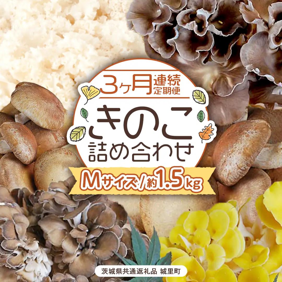 《 ３ヶ月 連続定期便 》 きのこ の 詰め合わせ Mサイズ 約1.5kg （茨城県共通返礼品 城里町）  [CX006sa]