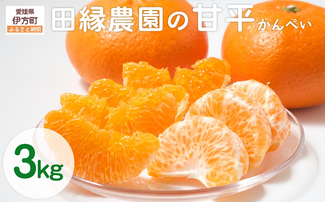 【先行予約】【数量限定】田縁農園の甘平（かんぺい）3kg ※離島への配送不可 （2026年1月25日より順次発送） IKTA016