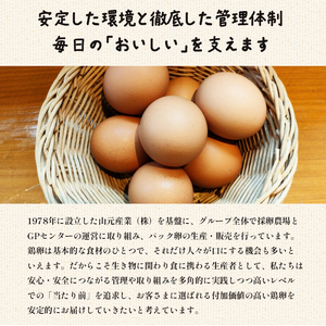 【 ６回定期便 】 卵 赤たまご 480個 ： 80個×6回 たまご 【配送不可地域：北海道、沖縄、離島】
