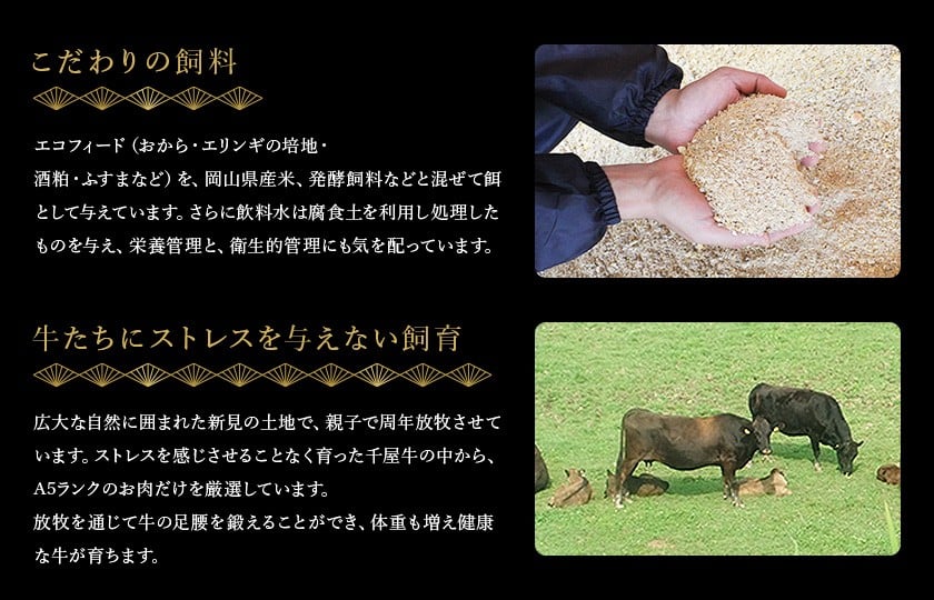 こだわりの飼料で大切に育てています。