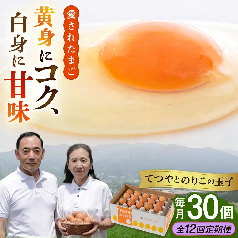 【全12回定期便】卵 30個×12ヶ月 てつやとのりこの玉子 卵 たまご [AWD010]