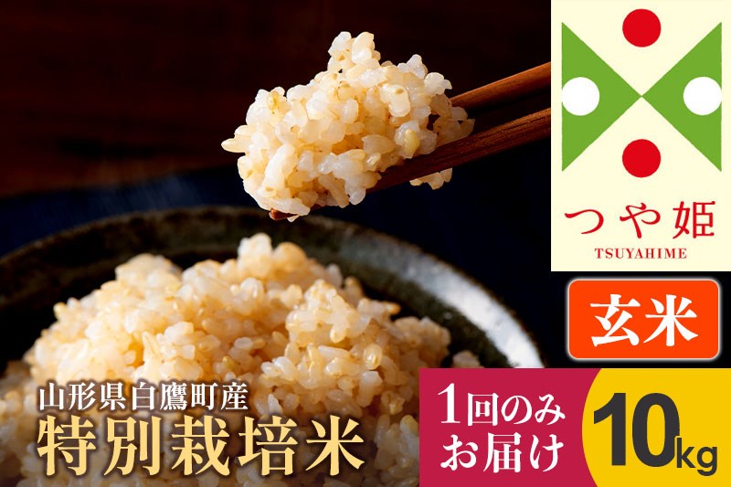 
            【令和6年産新米】〈玄米〉 つや姫 10kg（特別栽培米） 山形県産 しらたかのお米
          