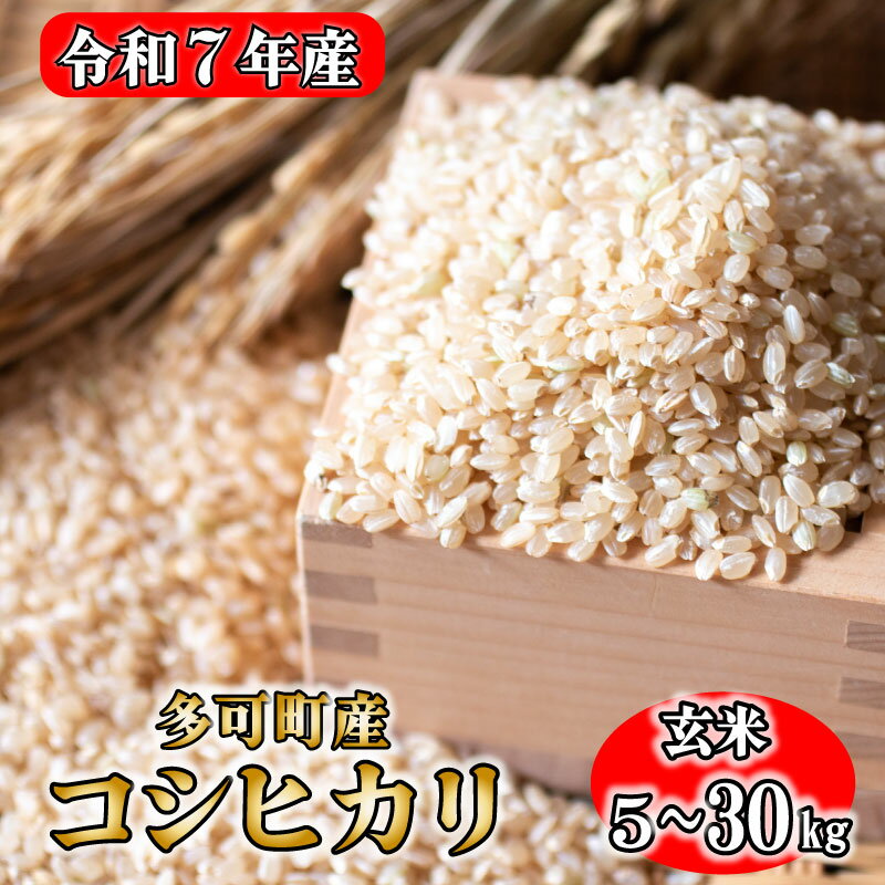 【ふるさと納税】玄米 お米 コシヒカリ 兵庫県多可町産 5kg 10kg 30kg