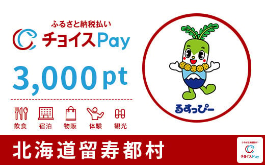 
留寿都村チョイスPay 3,000pt（1pt＝1円） 北海道 留寿都村 ルスツ ルスツリゾート リゾート 後志 ニセコ 近郊 【10020】【会員限定のお礼の品】
