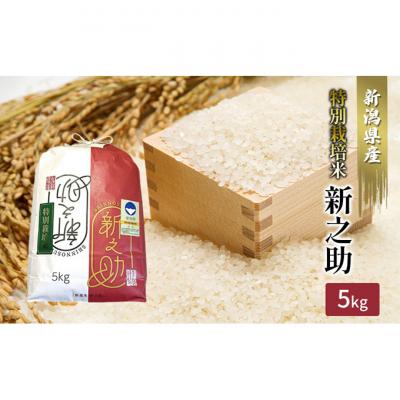 ふるさと納税 新潟市 【カガヤキ農園】特別栽培米　新之助5kg [54071111]