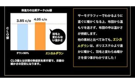 洗える ホコリが出にくい 『2枚合わせ掛け布団』〈ジュニア〉