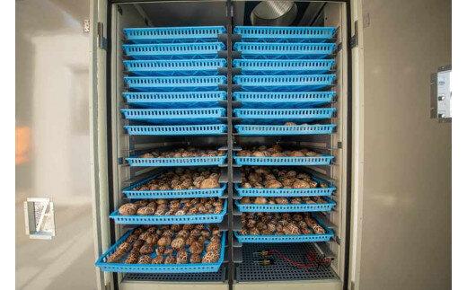 777.とっとり北栄町産 原木乾しいたけ3袋セット　※着日指定不可　※2025年4月上旬～9月下旬頃に順次発送予定